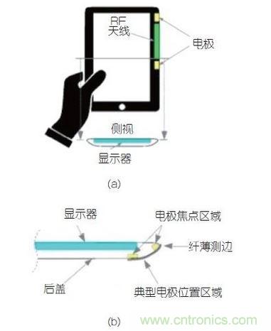 (a)側(cè)剖視圖描述；(b)電極焦點(diǎn)區(qū)域描述