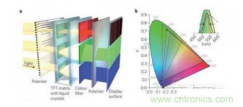  LCD顯示器示意圖。TFT表示薄膜晶體管（thin-film transistor）。