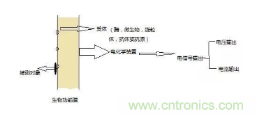仿生傳感器的定義、原理、分類及應用