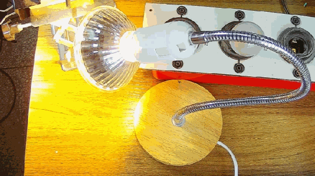 電燈泡內(nèi)通有交流電，為什么看不到燈泡在閃爍？