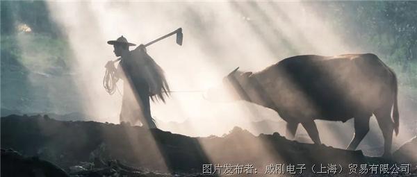 智慧農(nóng)業(yè)大有可為，“數(shù)字種地”更輕松
