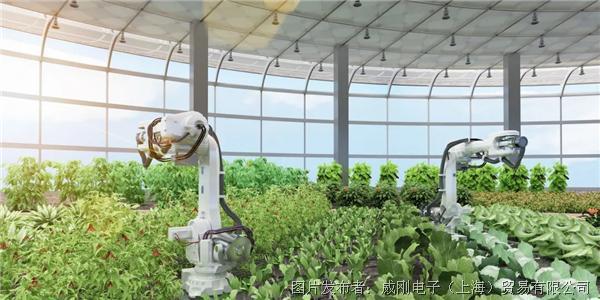 智慧農(nóng)業(yè)大有可為，“數(shù)字種地”更輕松